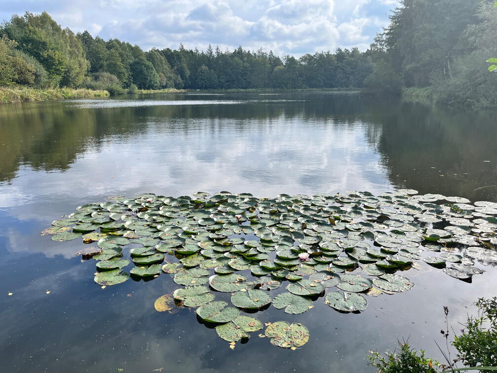 23-09-22 10-48-02 7229